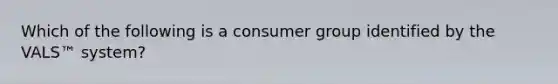 Which of the following is a consumer group identified by the VALS™ system?