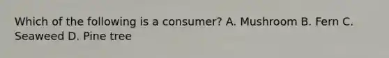 Which of the following is a consumer? A. Mushroom B. Fern C. Seaweed D. Pine tree