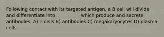 Following contact with its targeted antigen, a B cell will divide and differentiate into __________ which produce and secrete antibodies. A) T cells B) antibodies C) megakaryocytes D) plasma cells