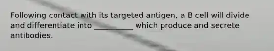 Following contact with its targeted antigen, a B cell will divide and differentiate into __________ which produce and secrete antibodies.