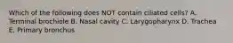 Which of the following does NOT contain ciliated cells? A. Terminal brochiole B. Nasal cavity C. Larygopharynx D. Trachea E. Primary bronchus