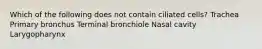 Which of the following does not contain ciliated cells? Trachea Primary bronchus Terminal bronchiole Nasal cavity Larygopharynx