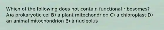 Which of the following does not contain functional ribosomes? A)a prokaryotic cel B) a plant mitochondrion C) a chloroplast D) an animal mitochondrion E) à nucleolus