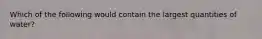 Which of the following would contain the largest quantities of water?