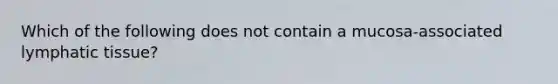 Which of the following does not contain a mucosa-associated lymphatic tissue?