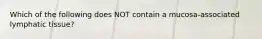 Which of the following does NOT contain a mucosa-associated lymphatic tissue?