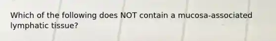 Which of the following does NOT contain a mucosa-associated lymphatic tissue?