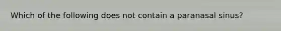 Which of the following does not contain a paranasal sinus?