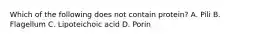 Which of the following does not contain protein? A. Pili B. Flagellum C. Lipoteichoic acid D. Porin