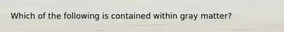 Which of the following is contained within gray matter?