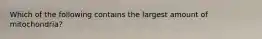 Which of the following contains the largest amount of mitochondria?