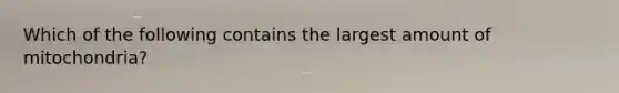 Which of the following contains the largest amount of mitochondria?