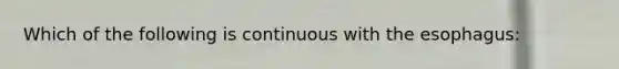 Which of the following is continuous with <a href='https://www.questionai.com/knowledge/kSjVhaa9qF-the-esophagus' class='anchor-knowledge'>the esophagus</a>: