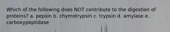 Which of the following does NOT contribute to the digestion of proteins? a. pepsin b. chymotrypsin c. trypsin d. amylase e. carboxypeptidase