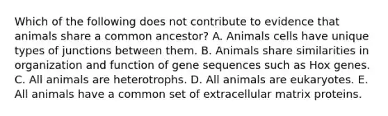 Which of the following does not contribute to evidence that animals share a common ancestor? A. Animals cells have unique types of junctions between them. B. Animals share similarities in organization and function of gene sequences such as Hox genes. C. All animals are heterotrophs. D. All animals are eukaryotes. E. All animals have a common set of extracellular matrix proteins.