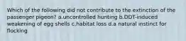 Which of the following did not contribute to the extinction of the passenger pigeon? a.uncontrolled hunting b.DDT-induced weakening of egg shells c.habitat loss d.a natural instinct for flocking