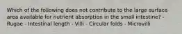 Which of the following does not contribute to the large surface area available for nutrient absorption in the small intestine? - Rugae - Intestinal length - Villi - Circular folds - Microvilli