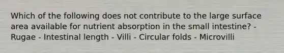 Which of the following does not contribute to the large surface area available for nutrient absorption in the small intestine? - Rugae - Intestinal length - Villi - Circular folds - Microvilli