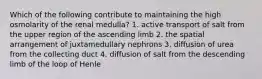 Which of the following contribute to maintaining the high osmolarity of the renal medulla? 1. active transport of salt from the upper region of the ascending limb 2. the spatial arrangement of juxtamedullary nephrons 3. diffusion of urea from the collecting duct 4. diffusion of salt from the descending limb of the loop of Henle
