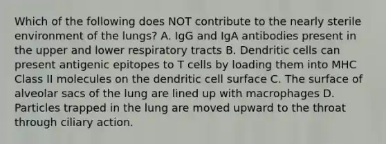 Which of the following does NOT contribute to the nearly sterile environment of the lungs? A. IgG and IgA antibodies present in the upper and lower respiratory tracts B. Dendritic cells can present antigenic epitopes to T cells by loading them into MHC Class II molecules on the dendritic cell surface C. The surface of alveolar sacs of the lung are lined up with macrophages D. Particles trapped in the lung are moved upward to the throat through ciliary action.