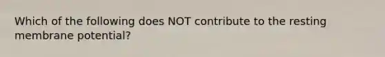 Which of the following does NOT contribute to the resting membrane potential?