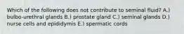 Which of the following does not contribute to seminal fluid? A.) bulbo-urethral glands B.) prostate gland C.) seminal glands D.) nurse cells and epididymis E.) spermatic cords