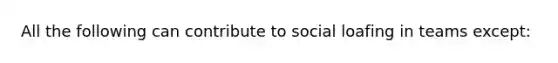 All the following can contribute to social loafing in teams except: