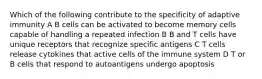 Which of the following contribute to the specificity of adaptive immunity A B cells can be activated to become memory cells capable of handling a repeated infection B B and T cells have unique receptors that recognize specific antigens C T cells release cytokines that active cells of the immune system D T or B cells that respond to autoantigens undergo apoptosis