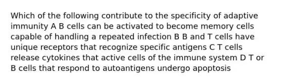 Which of the following contribute to the specificity of adaptive immunity A B cells can be activated to become memory cells capable of handling a repeated infection B B and T cells have unique receptors that recognize specific antigens C T cells release cytokines that active cells of the immune system D T or B cells that respond to autoantigens undergo apoptosis