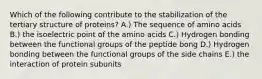 Which of the following contribute to the stabilization of the tertiary structure of proteins? A.) The sequence of amino acids B.) the isoelectric point of the amino acids C.) Hydrogen bonding between the functional groups of the peptide bong D.) Hydrogen bonding between the functional groups of the side chains E.) the interaction of protein subunits