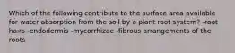 Which of the following contribute to the surface area available for water absorption from the soil by a plant root system? -root hairs -endodermis -mycorrhizae -fibrous arrangements of the roots