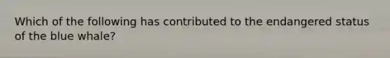 Which of the following has contributed to the endangered status of the blue whale?