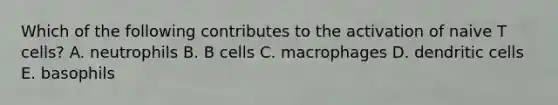 Which of the following contributes to the activation of naive T cells? A. neutrophils B. B cells C. macrophages D. dendritic cells E. basophils