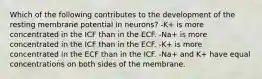 Which of the following contributes to the development of the resting membrane potential in neurons? -K+ is more concentrated in the ICF than in the ECF. -Na+ is more concentrated in the ICF than in the ECF. -K+ is more concentrated in the ECF than in the ICF. -Na+ and K+ have equal concentrations on both sides of the membrane.