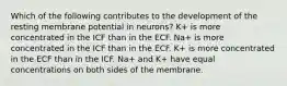 Which of the following contributes to the development of the resting membrane potential in neurons? K+ is more concentrated in the ICF than in the ECF. Na+ is more concentrated in the ICF than in the ECF. K+ is more concentrated in the ECF than in the ICF. Na+ and K+ have equal concentrations on both sides of the membrane.