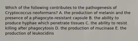 Which of the following contributes to the pathogenesis of Cryptococcus neoformans? A. the production of melanin and the presence of a phagocyte-resistant capsule B. the ability to produce hyphae which penetrate tissues C. the ability to resist killing after phagocytosis D. the production of mucinase E. the production of leukocidins