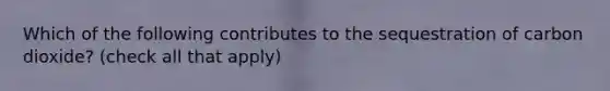 Which of the following contributes to the sequestration of carbon dioxide? (check all that apply)