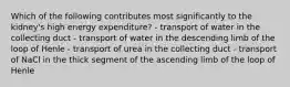 Which of the following contributes most significantly to the kidney's high energy expenditure? - transport of water in the collecting duct - transport of water in the descending limb of the loop of Henle - transport of urea in the collecting duct - transport of NaCl in the thick segment of the ascending limb of the loop of Henle