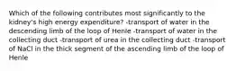 Which of the following contributes most significantly to the kidney's high energy expenditure? -transport of water in the descending limb of the loop of Henle -transport of water in the collecting duct -transport of urea in the collecting duct -transport of NaCl in the thick segment of the ascending limb of the loop of Henle