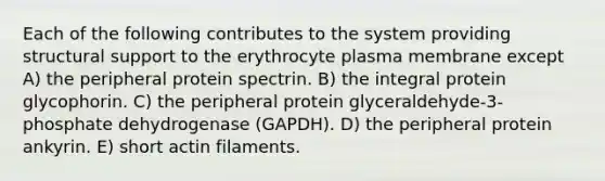 Each of the following contributes to the system providing structural support to the erythrocyte plasma membrane except A) the peripheral protein spectrin. B) the integral protein glycophorin. C) the peripheral protein glyceraldehyde-3-phosphate dehydrogenase (GAPDH). D) the peripheral protein ankyrin. E) short actin filaments.