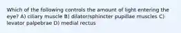 Which of the following controls the amount of light entering the eye? A) ciliary muscle B) dilator/sphincter pupillae muscles C) levator palpebrae D) medial rectus