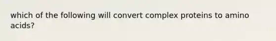 which of the following will convert complex proteins to <a href='https://www.questionai.com/knowledge/k9gb720LCl-amino-acids' class='anchor-knowledge'>amino acids</a>?