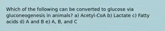 Which of the following can be converted to glucose via gluconeogenesis in animals? a) Acetyl-CoA b) Lactate c) Fatty acids d) A and B e) A, B, and C