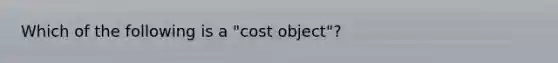 Which of the following is a "cost object"?