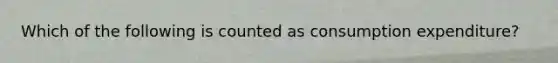 Which of the following is counted as consumption expenditure?