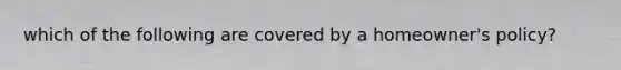 which of the following are covered by a homeowner's policy?