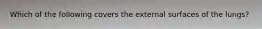Which of the following covers the external surfaces of the lungs?