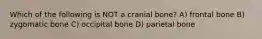 Which of the following is NOT a cranial bone? A) frontal bone B) zygomatic bone C) occipital bone D) parietal bone