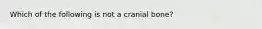 Which of the following is not a cranial bone?