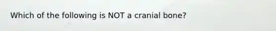 Which of the following is NOT a cranial bone?